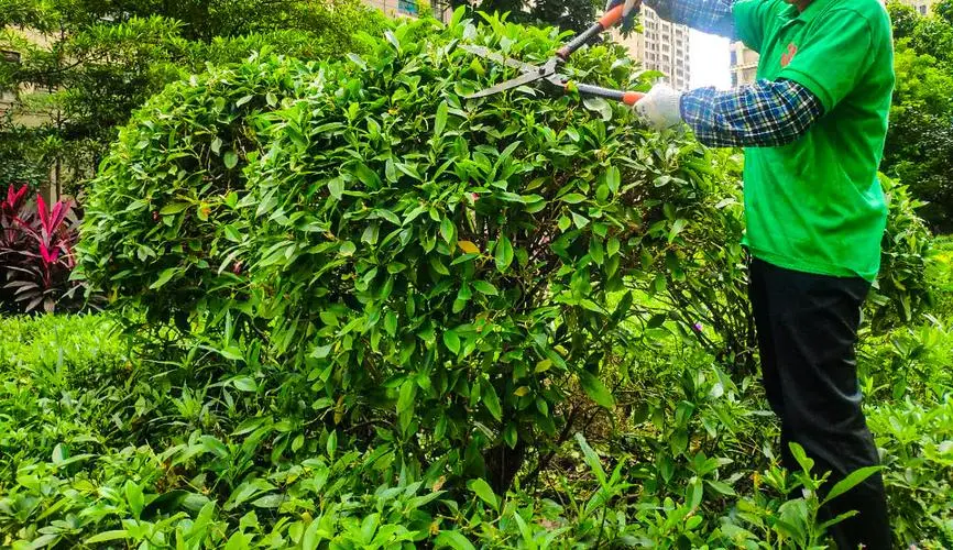 休闲农业与美丽乡村杂志部级期刊